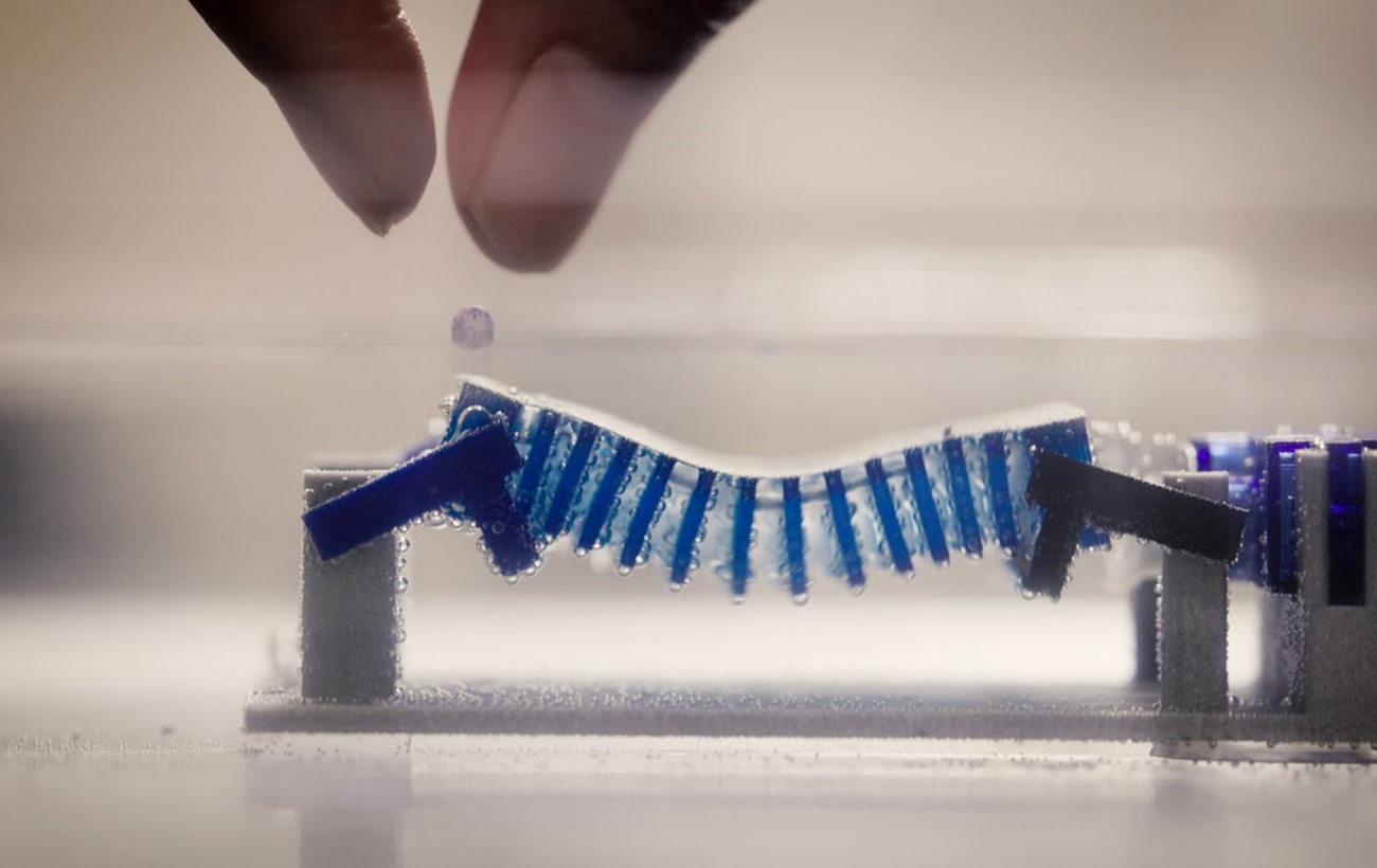 Ученые придумали, как очистить океаны от микропластика с помощью робо-улитки (видео)